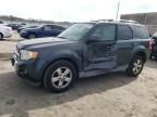 2009 Ford Escape Limited