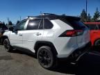 2025 Toyota Rav4 XSE