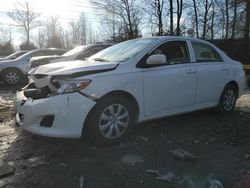 Toyota salvage cars for sale: 2010 Toyota Corolla Base