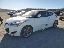 Salvage cars for sale at Anderson, CA auction: 2013 Hyundai Veloster