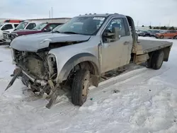 Salvage trucks for sale at Bismarck, ND auction: 2023 Ford F550 Super Duty