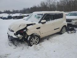 Salvage cars for sale at Ellwood City, PA auction: 2013 KIA Soul +