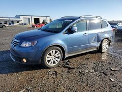 Salvage cars for sale at Lumberton, NC auction: 2008 Subaru Tribeca Limited