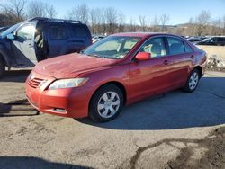 Toyota salvage cars for sale: 2007 Toyota Camry CE