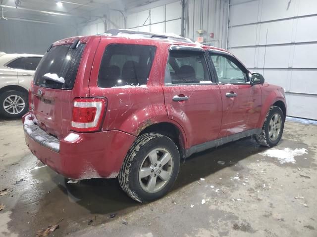 2010 Ford Escape XLT