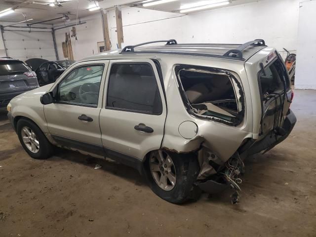 2005 Ford Escape XLT