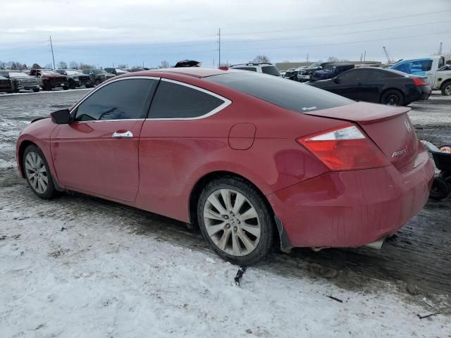 2010 Honda Accord EXL