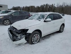 2017 Audi Q5 Premium Plus en venta en Cookstown, ON