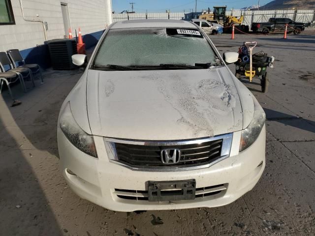 2010 Honda Accord EXL