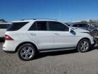 2015 Mercedes-Benz ML 350