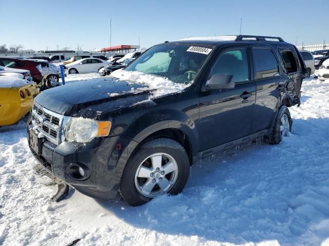 2012 Ford Escape XLT