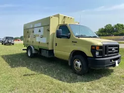 Ford Econoline e450 Super Duty Vehiculos salvage en venta: 2011 Ford Econoline E450 Super Duty Cutaway Van