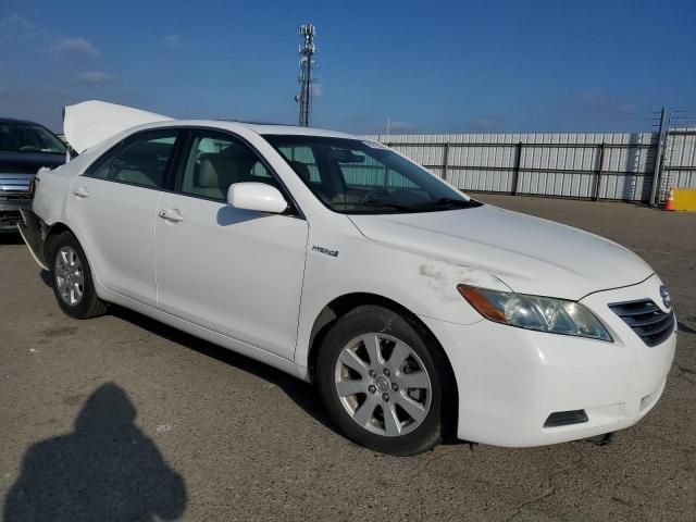 2009 Toyota Camry Hybrid