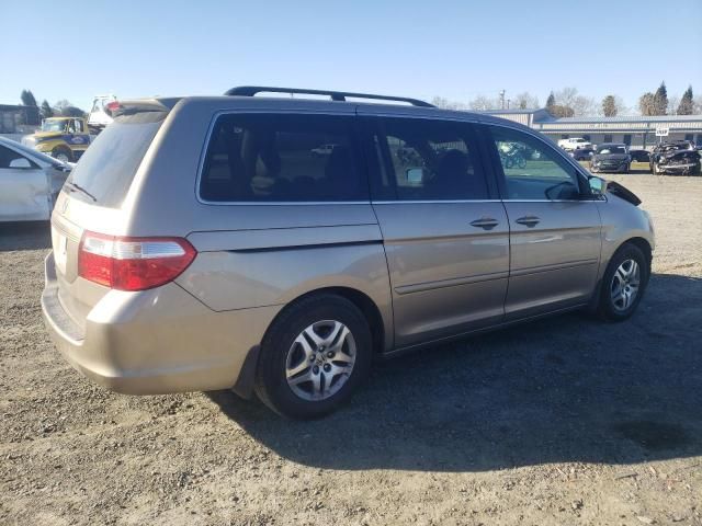 2006 Honda Odyssey EXL