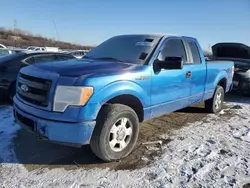 Salvage trucks for sale at Chicago Heights, IL auction: 2013 Ford F150 Super Cab