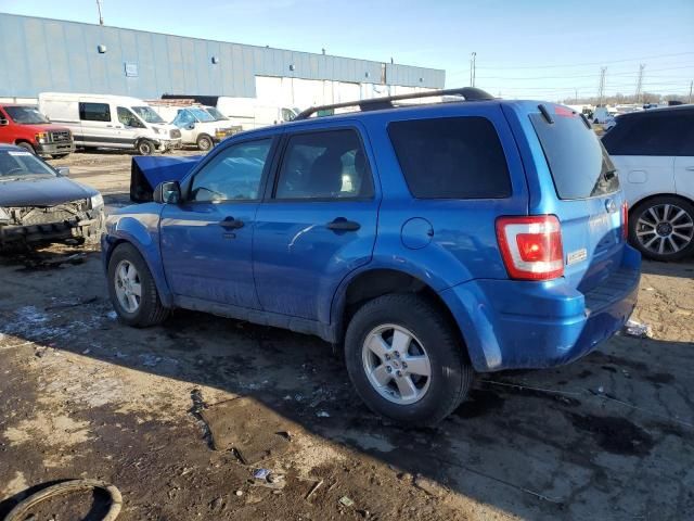 2011 Ford Escape XLT