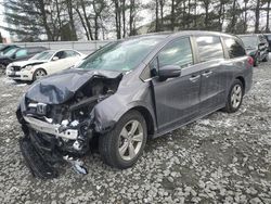 Salvage cars for sale at Windsor, NJ auction: 2019 Honda Odyssey EXL