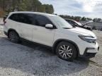 2019 Honda Pilot EXL