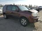 2009 Honda Pilot EXL