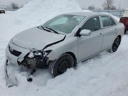 Salvage cars for sale from Copart London, ON: 2010 Toyota Corolla Base