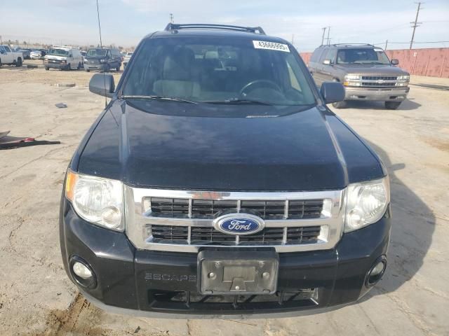 2012 Ford Escape XLT