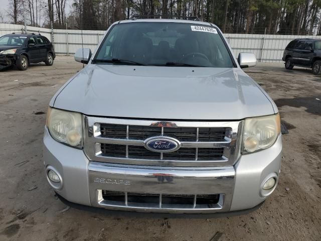 2010 Ford Escape Limited