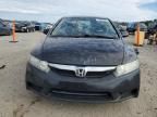 2009 Honda Civic EXL