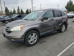 Honda salvage cars for sale: 2011 Honda CR-V EXL