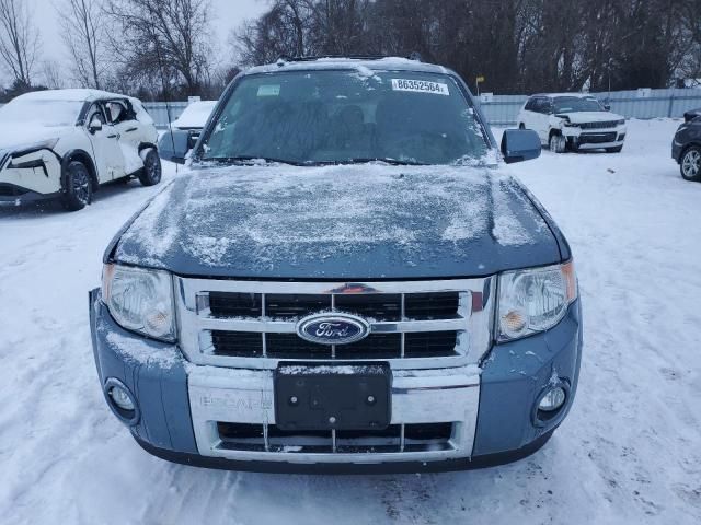 2011 Ford Escape Limited