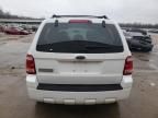 2008 Ford Escape XLS