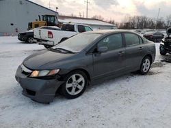 Salvage cars for sale at Columbus, OH auction: 2010 Honda Civic LX