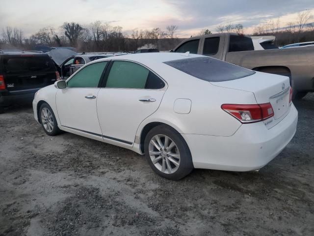 2010 Lexus ES 350