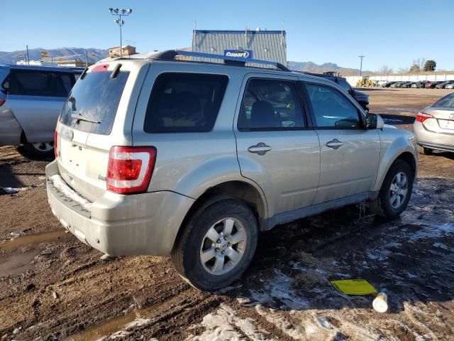 2010 Ford Escape Limited