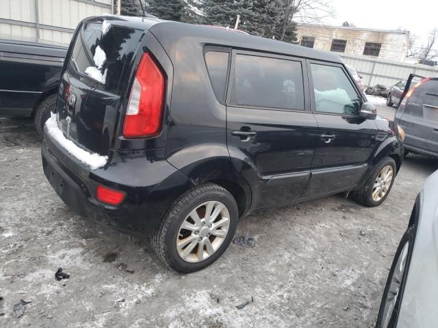 2012 KIA Soul +