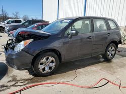 Salvage cars for sale at Lawrenceburg, KY auction: 2014 Subaru Forester 2.5I