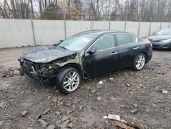 2010 Nissan Maxima S en venta en Chalfont, PA