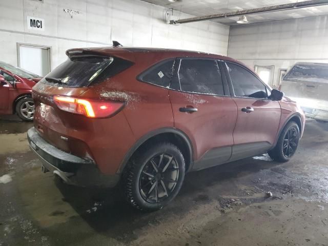 2020 Ford Escape S