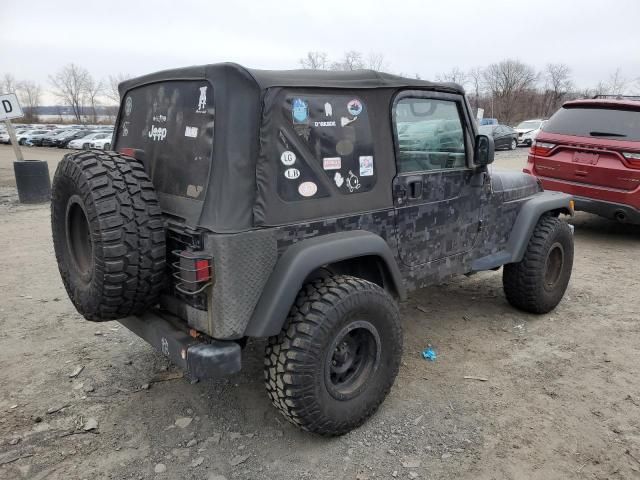 2003 Jeep Wrangler / TJ Sahara