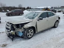 Salvage cars for sale at Columbia Station, OH auction: 2013 Chevrolet Malibu LS