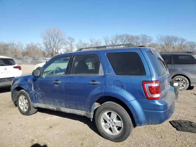 2009 Ford Escape XLT