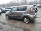 2010 KIA Soul +