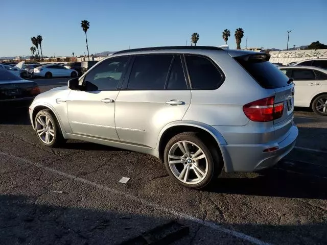 2010 BMW X5 M