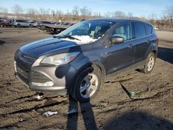 Ford Escape Vehiculos salvage en venta: 2013 Ford Escape SE