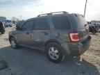 2011 Ford Escape XLS