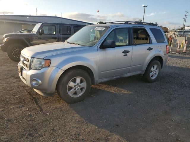 2010 Ford Escape XLT