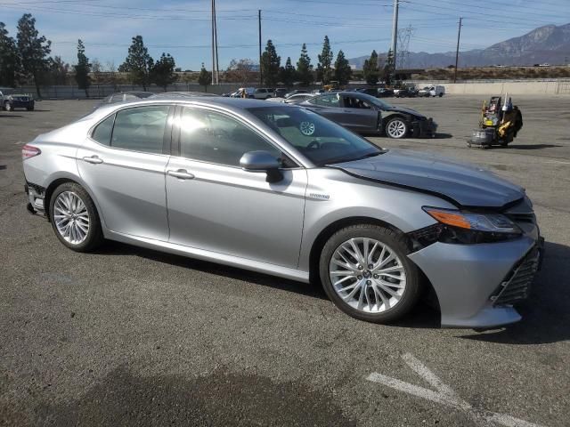 2019 Toyota Camry Hybrid