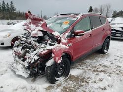 Carros salvage sin ofertas aún a la venta en subasta: 2017 Ford Escape Titanium