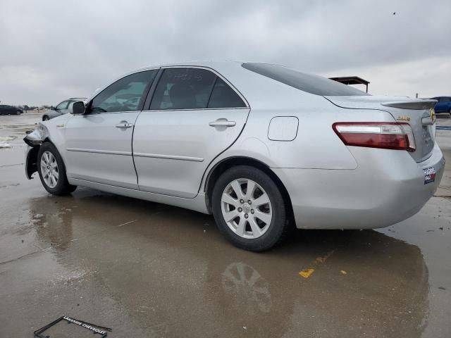 2009 Toyota Camry Hybrid