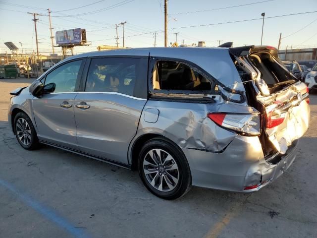 2024 Honda Odyssey EXL