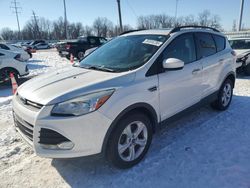 Salvage cars for sale at Columbus, OH auction: 2014 Ford Escape SE